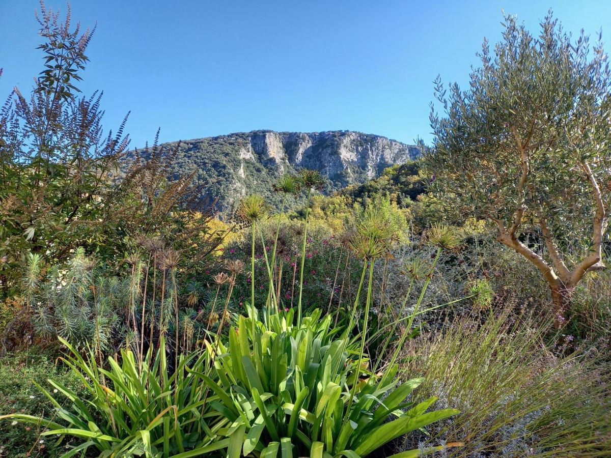 Gite En Cevennes Du Sud, Bergerie Restauree Au Rez De Jardin D'Une Bastide Avec Piscine, Vue Exceptionnelle, Authenticite Et Confort Saint-Laurent-le-Minier Екстериор снимка